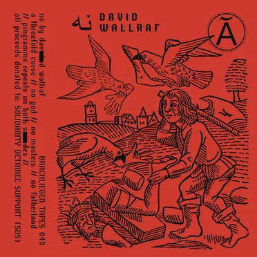 نه (no) by David Wallraf - album cover
