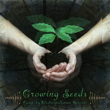 Growing Seeds by Various Artists - album cover