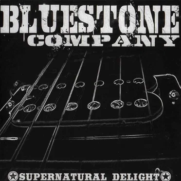 Supernatural Delight by Bluestone Company - album cover