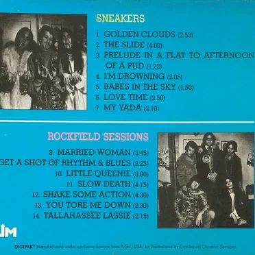 Flamin' Groovies - Sneakers / Rockfield Sessions