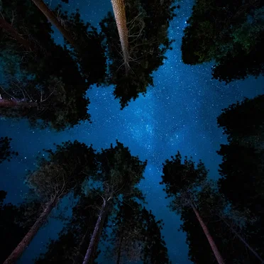 When night has fallen