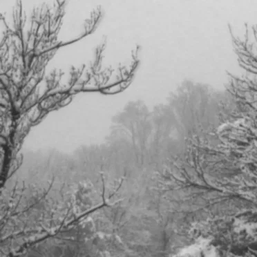 L'Hiver Blanc