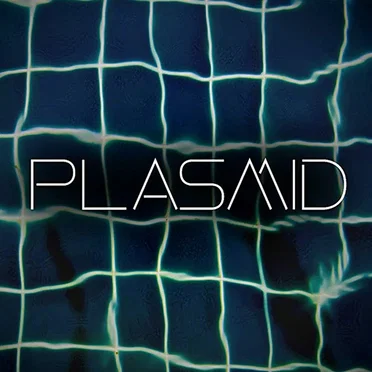 Plasmid