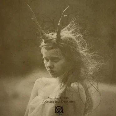 A Crying Into Desolation by Meaning of Life - album cover