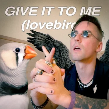 Give It To Me (lovebird)