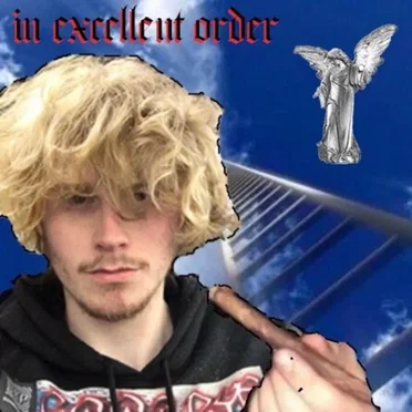 In Excellent Order by Fried By Fluoride - album cover