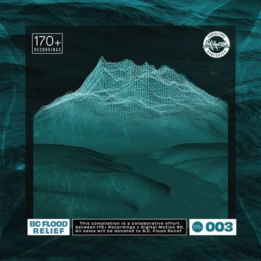 BC Flood Relief by Various Artists - album cover