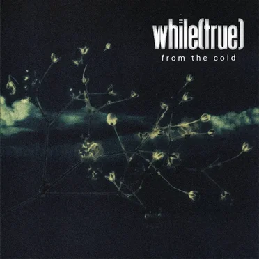 From the Cold by while(true) - album cover