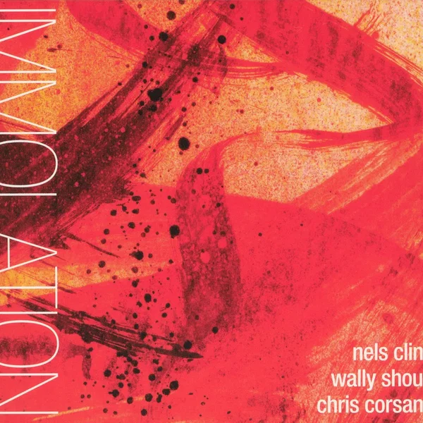 Immolation/Immersion