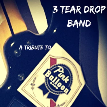A Tribute to Pink Balloon Band