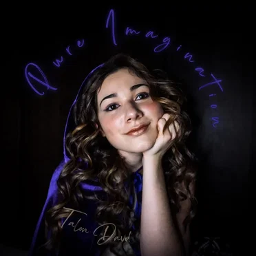 Pure Imagination by Talon David - album cover