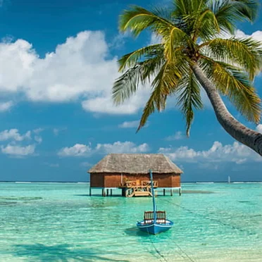 Island Heat