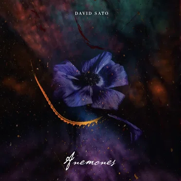 Anemones by David Sato - album cover