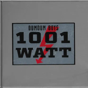 1001 Watt