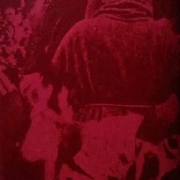 The Red Death