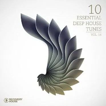 10 Essential Deep House Tunes: Vol. 14 by Various Artists - album cover