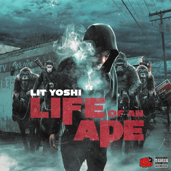 Life of an Ape
