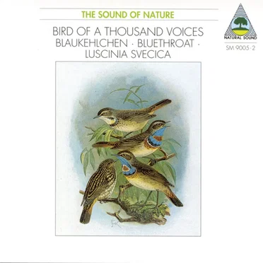 Bird of a Thousand Voices: Blaukehlchen by Walter Tilgner - album cover