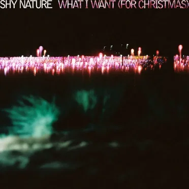 What I Want (For Christmas)