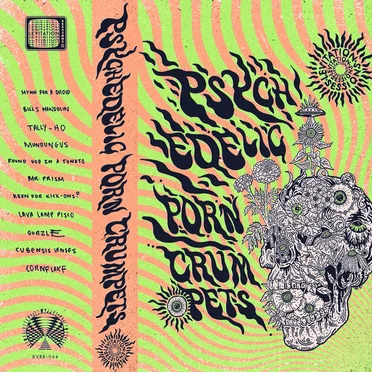 Levitation Sessions by Psychedelic Porn Crumpets - album cover