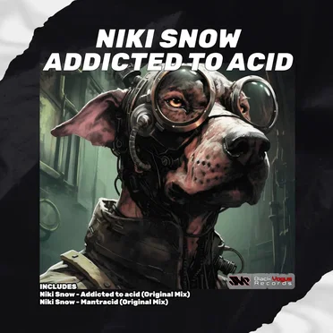 Addicted to Acid by Niki Snow - album cover