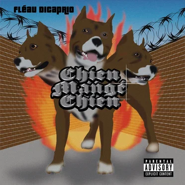 Chien mangé chien