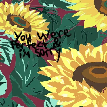 You Were Perfect & I’m Sorry