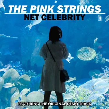 Net Celebrity by The Pink Strings - album cover