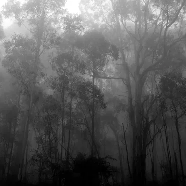 To a Vestige of Purest Light