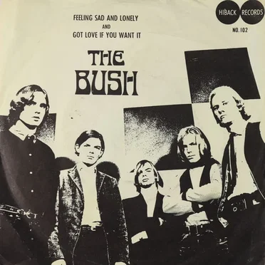 Feeling Sad And Lonely by The Bush - album cover