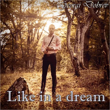 Like in a Dream