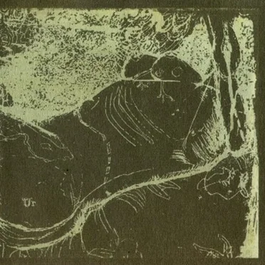 The Whys and Hows of Herman Düne and Cerberus Shoal by Various Artists - album cover