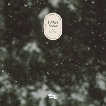 I Miss Snow by Gatz2Gatz - album cover