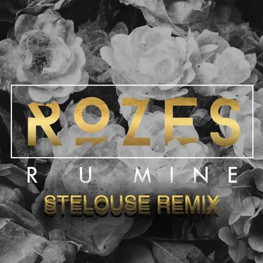 R U Mine (StéLouse Remix)
