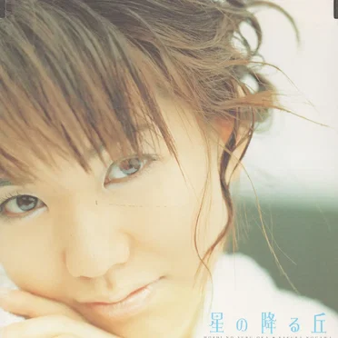 星の降る丘