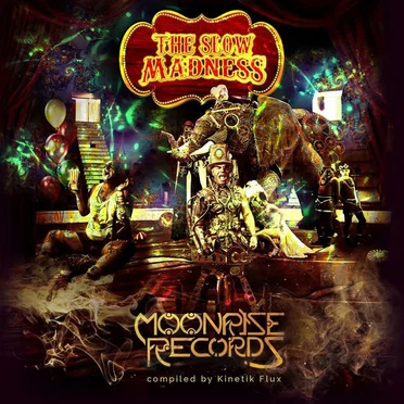 The Slow Madness by Various Artists - album cover