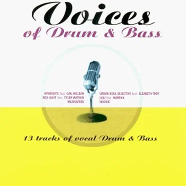 Voices of Drum & Bass by Various Artists - album cover