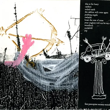Animal People by 7 Year Rabbit Cycle - album cover