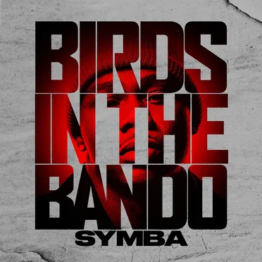 Birds in the Bando