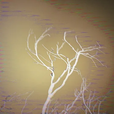 Sondering