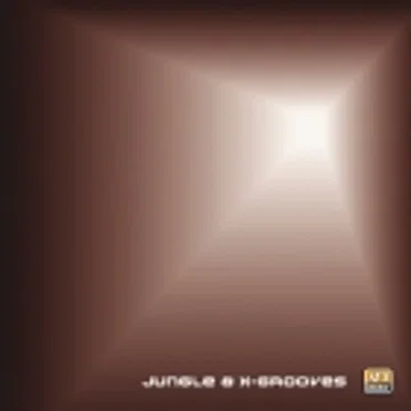 Jungle & X Grooves by Various Artists - album cover
