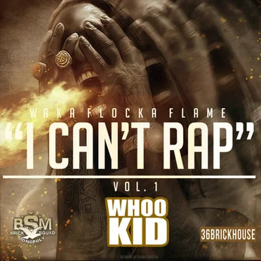 I Can’t Rap by Waka Flocka Flame - album cover