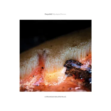 Mycological Patterns by Deepchild - album cover