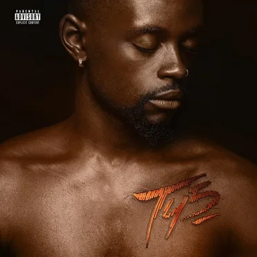 Told Y'all, Vol. 5 by Cinco - album cover