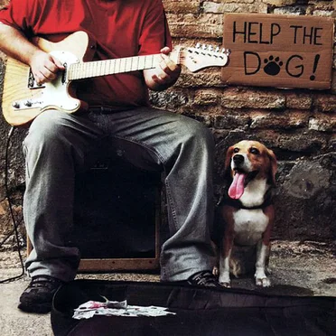Help the Dog