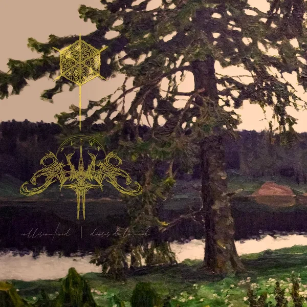Collision / Void - Dioses de la noche