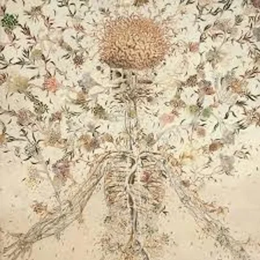 Heartbeat of the Death