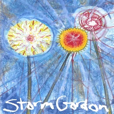 Songs for Birdman by Storm Gordon - album cover