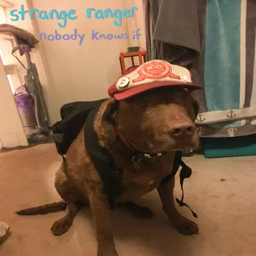 Nobdy Knows If