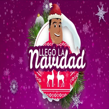 Llegó la Navidad by Mr Pepe Cruz - album cover